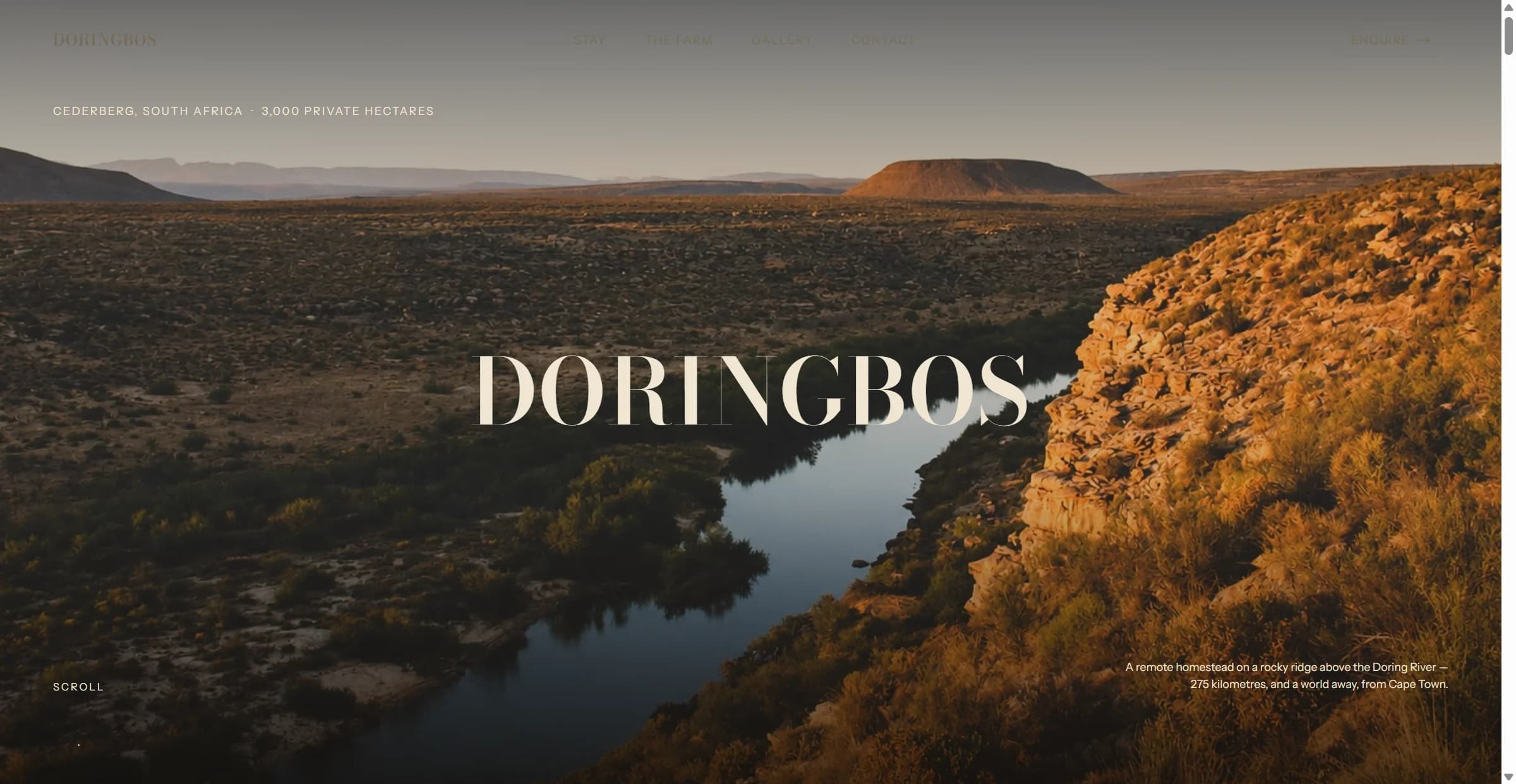 Doringbos website preview